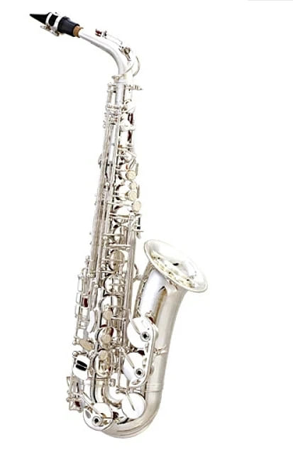 Saxofon Liverpool SP1001N Afinacion Eb Cuerpo y Campana de Metal Lacado Dorado con Llaves Doradas Estuche Boquilla y Accesorios
